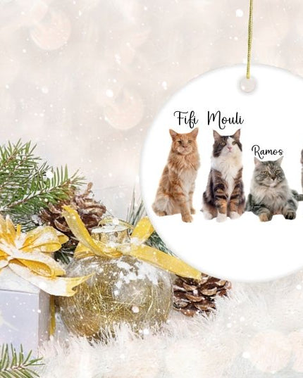 Personalisiertes Haustier Weihnachtsornament – Foto & Name | Individuelle Tier-Weihnachtskugel | Geschenk für Hundeliebhaber & Katzenbesitzer